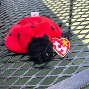 Ty Plush Ladybug in Red and Black LUCKY